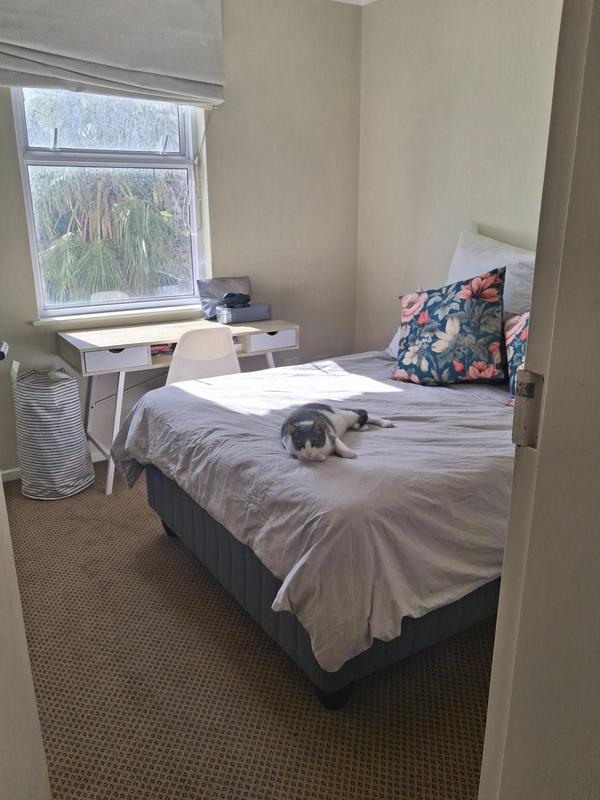 To Let 2 Bedroom Property for Rent in Vredehoek Western Cape